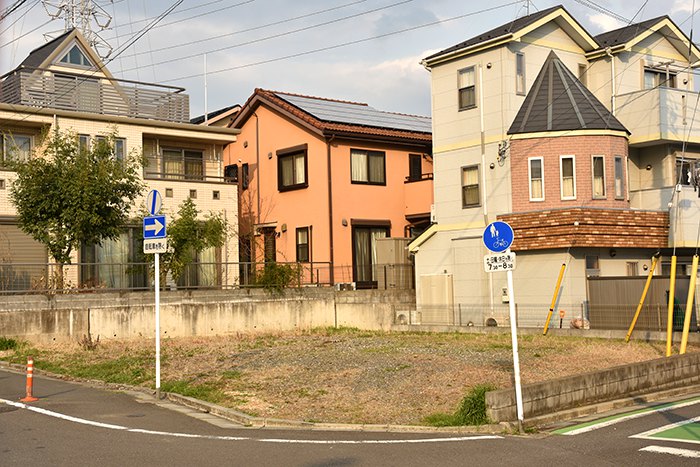 kot005