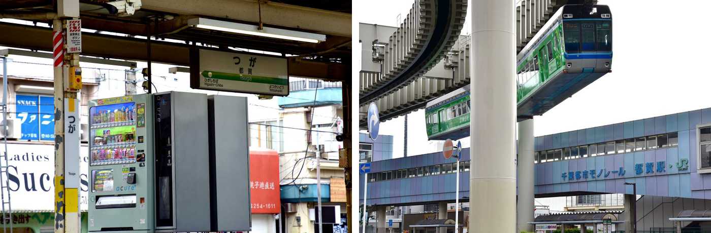 tsuga007