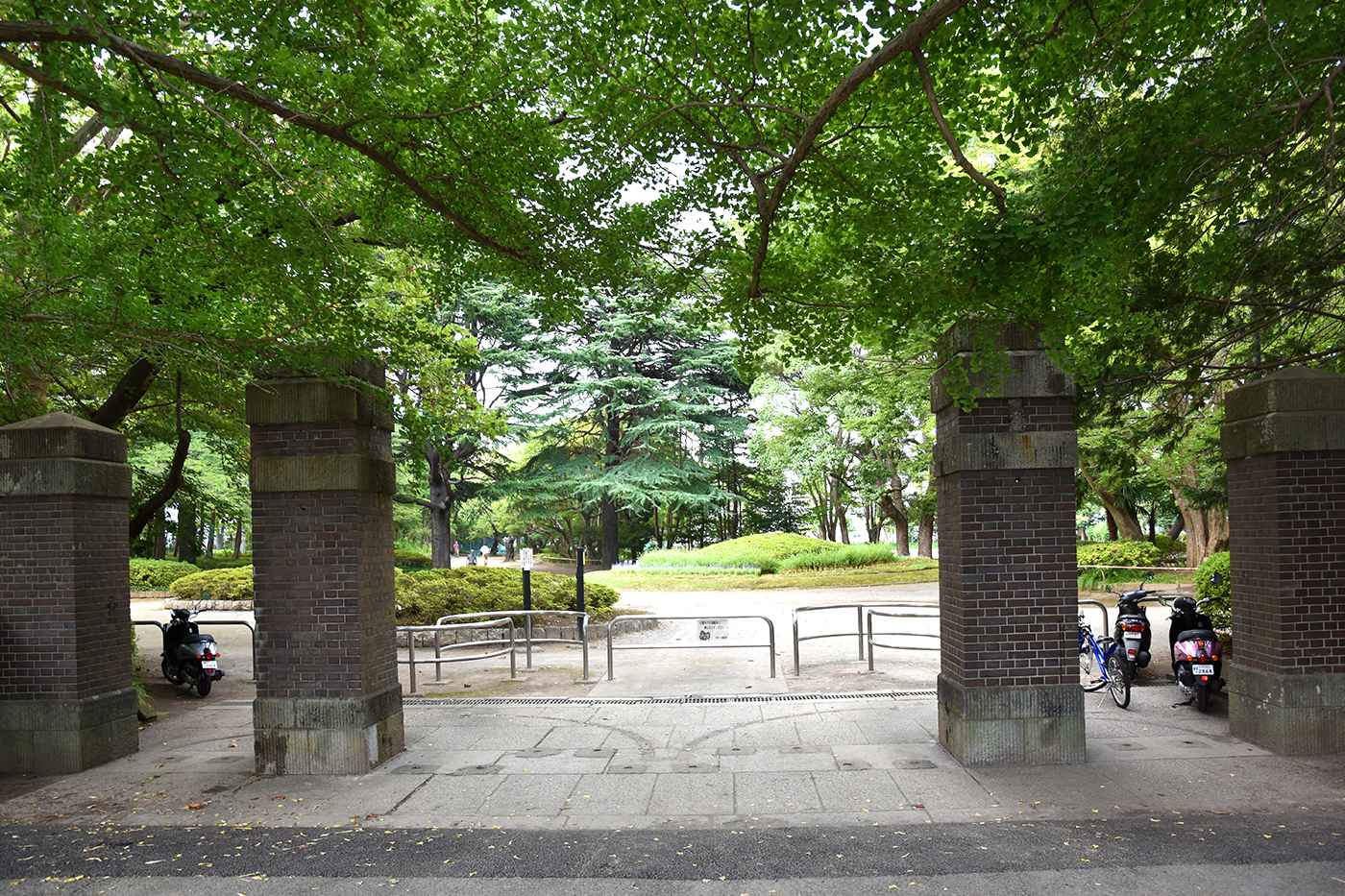 matsudo_015