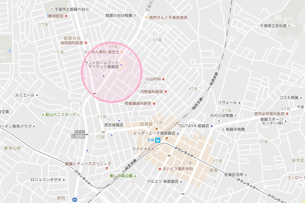 tsuga008