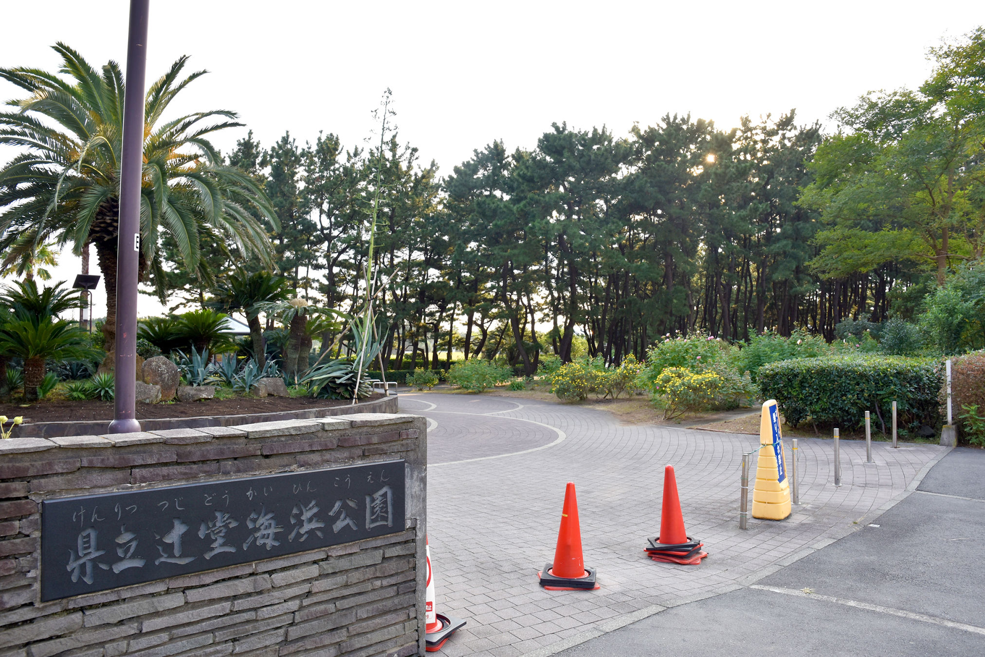 tsujido_015