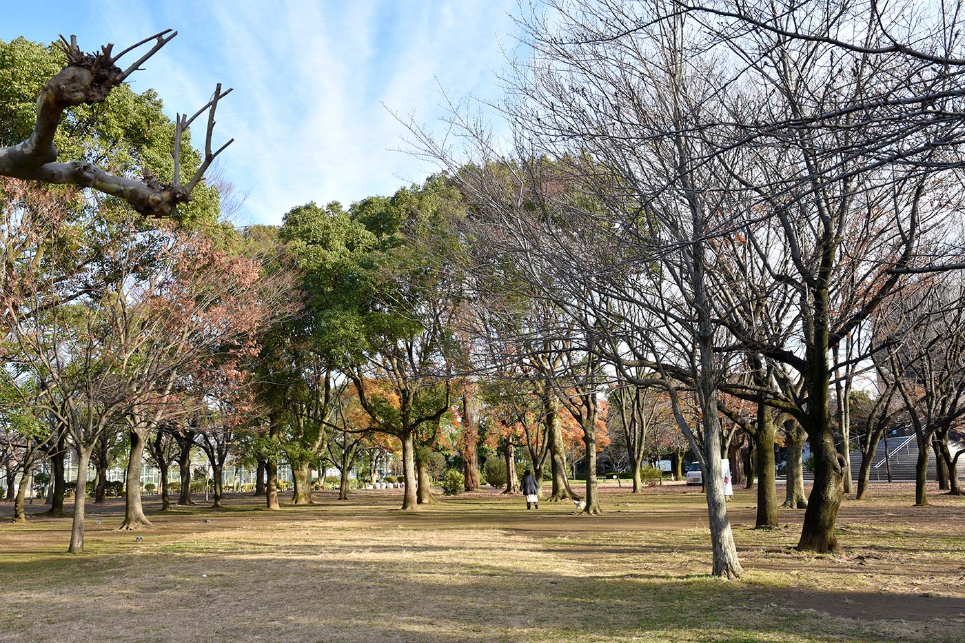 ayase_008