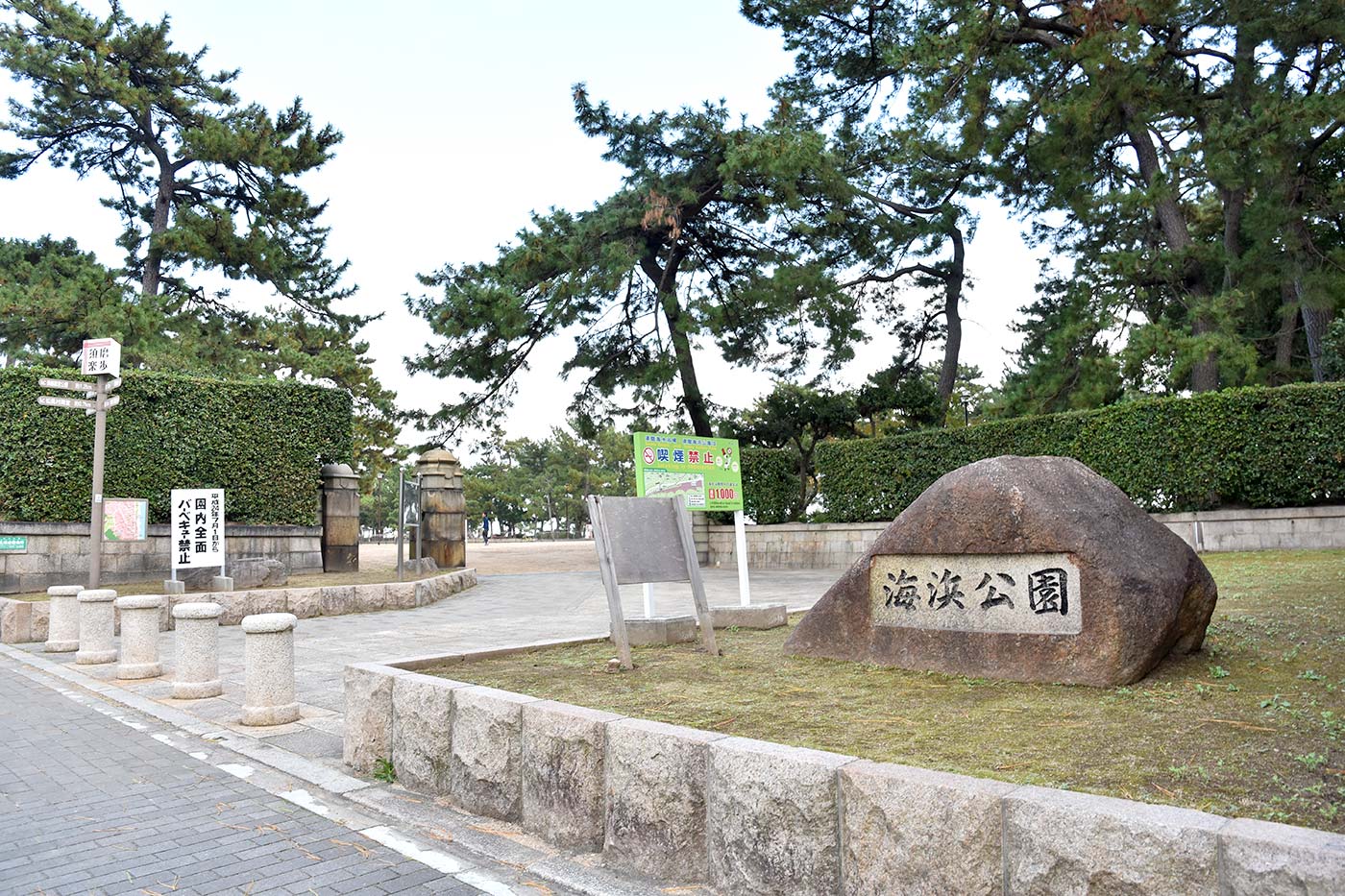 suma_016