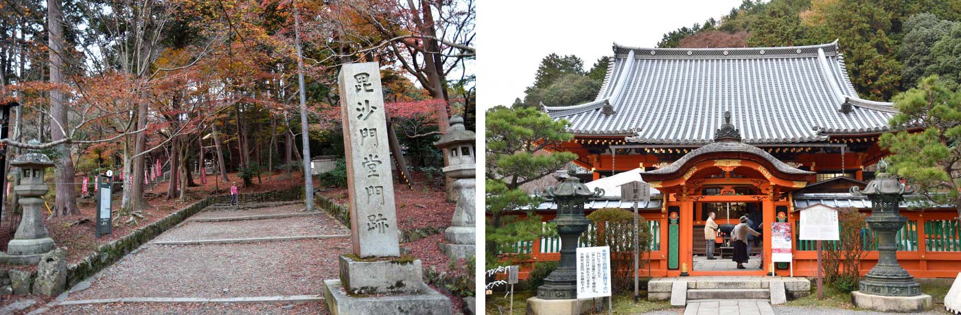 yamashina_005