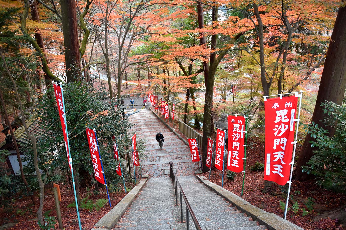yamashina_013