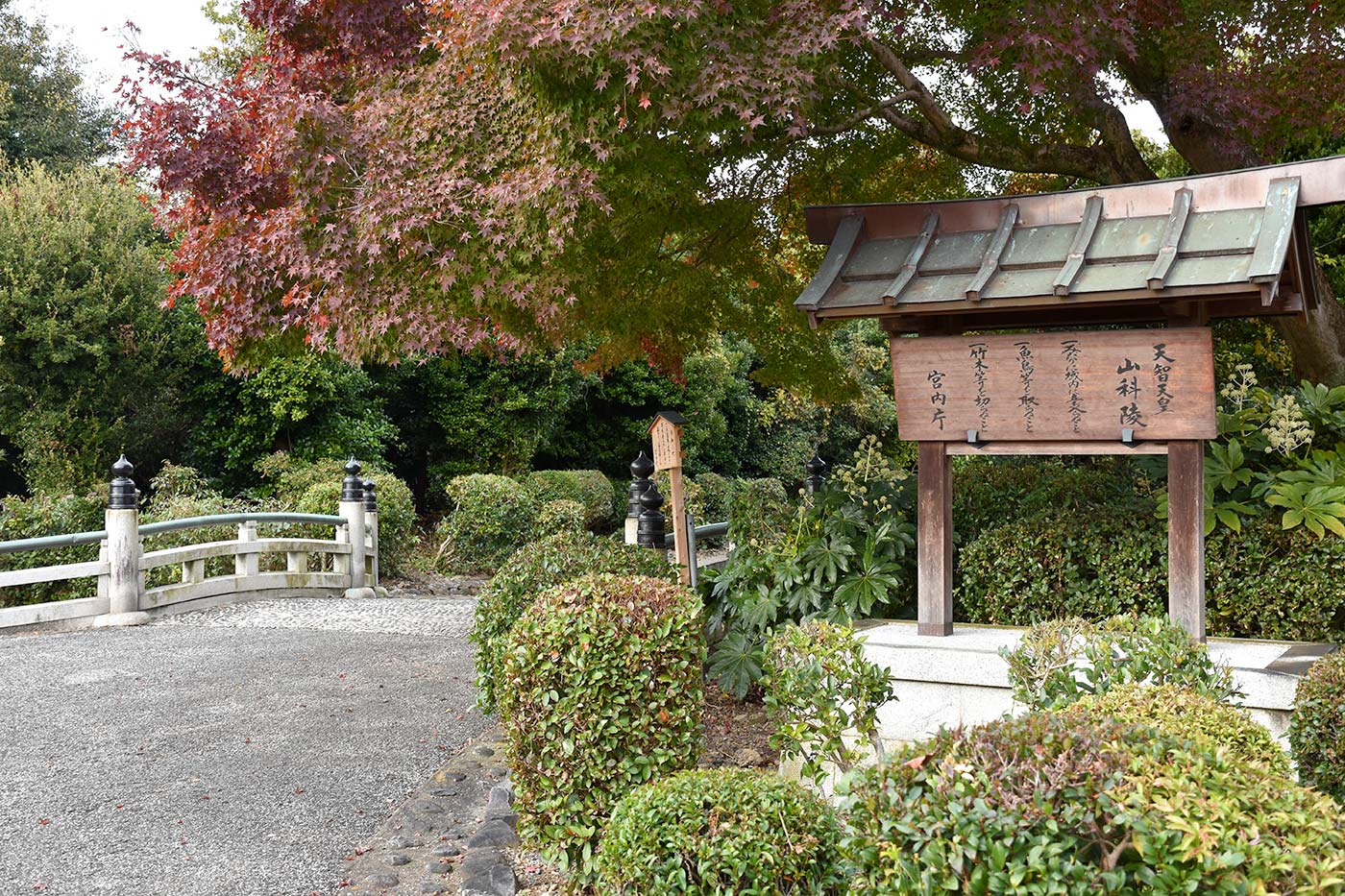 yamashina_018
