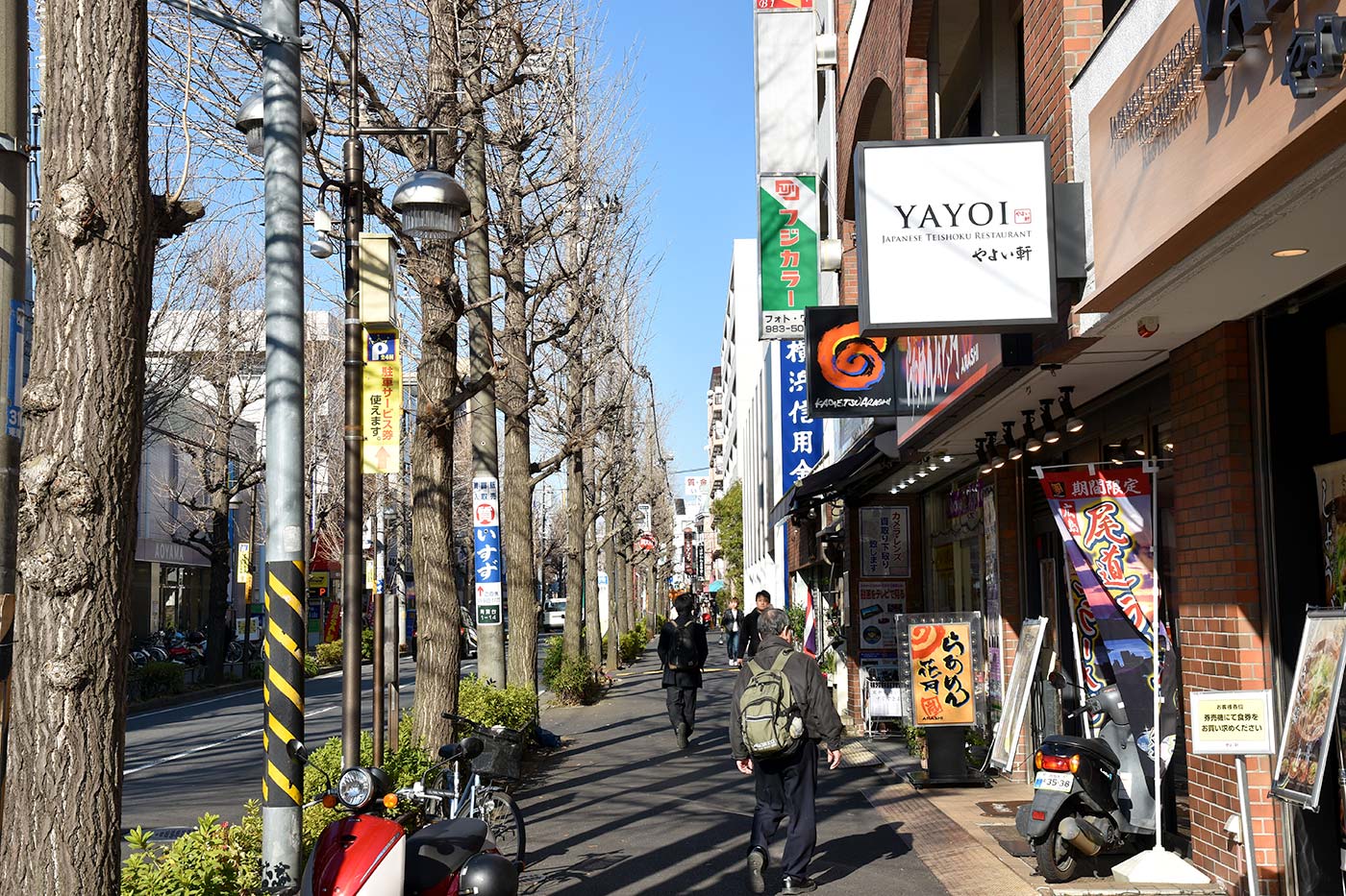 aobadai_008
