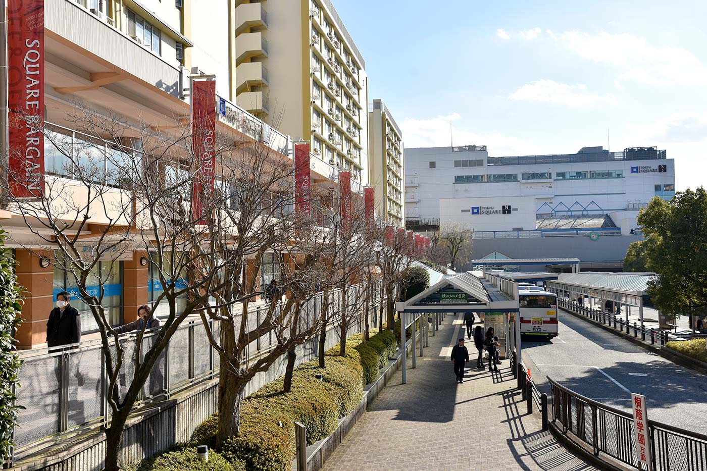aobadai_017