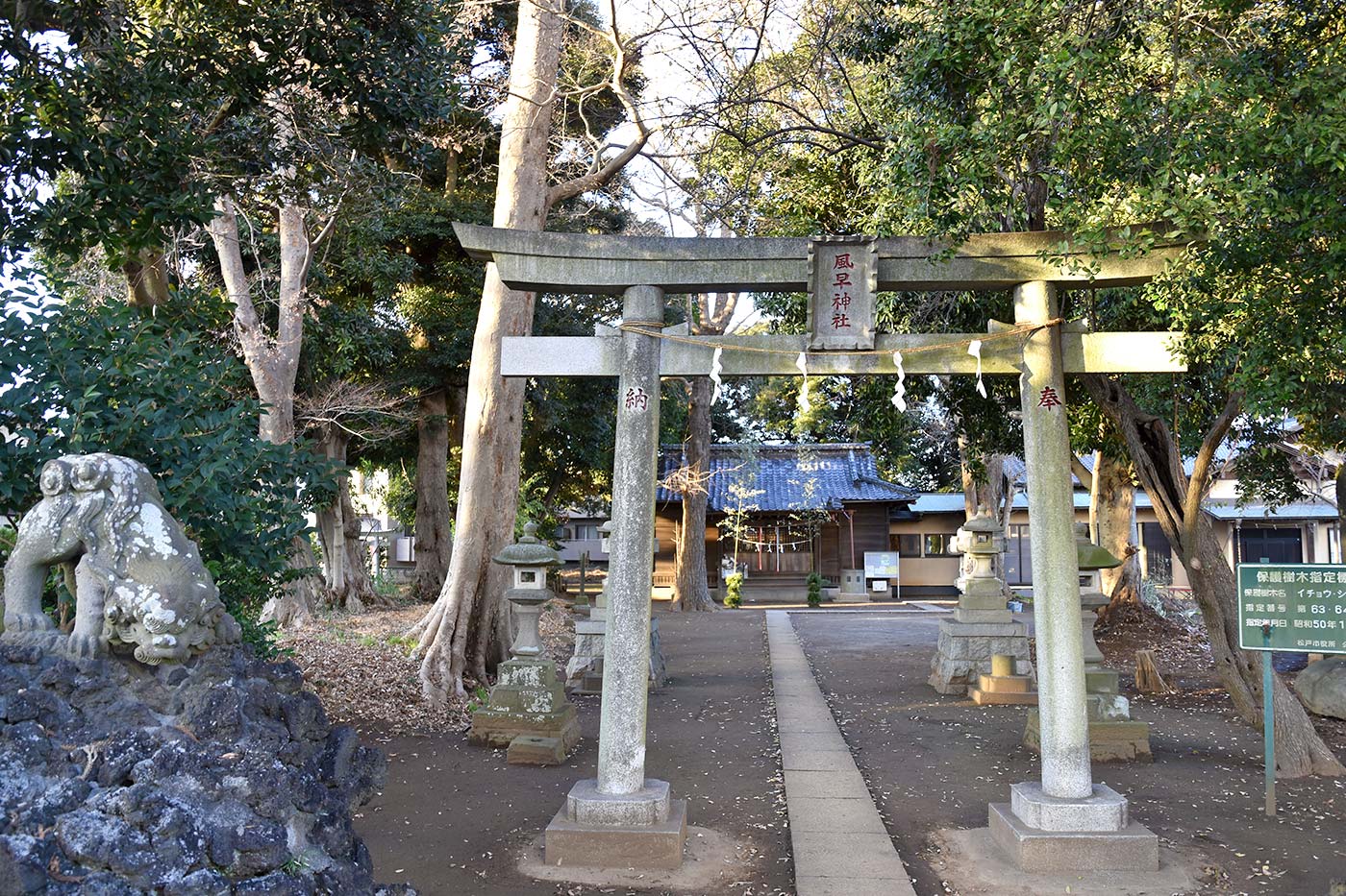 kamihon_020