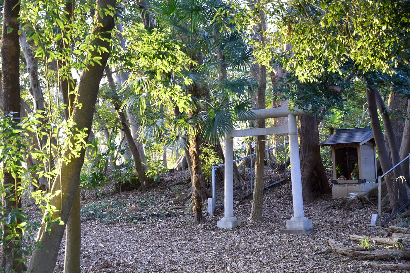 kitakoku_038