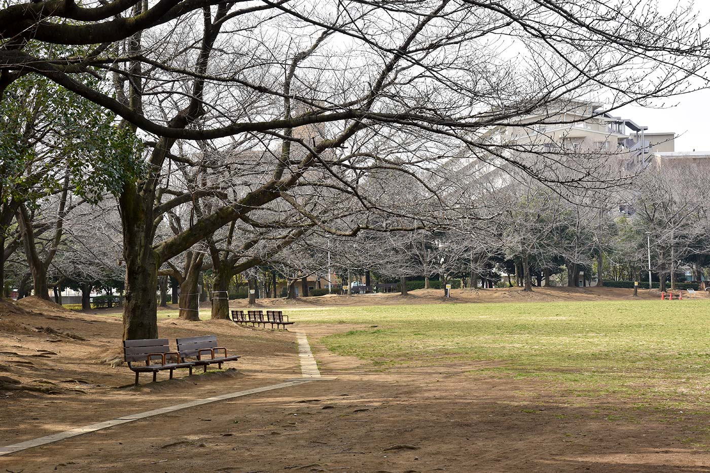 nishikawa_025