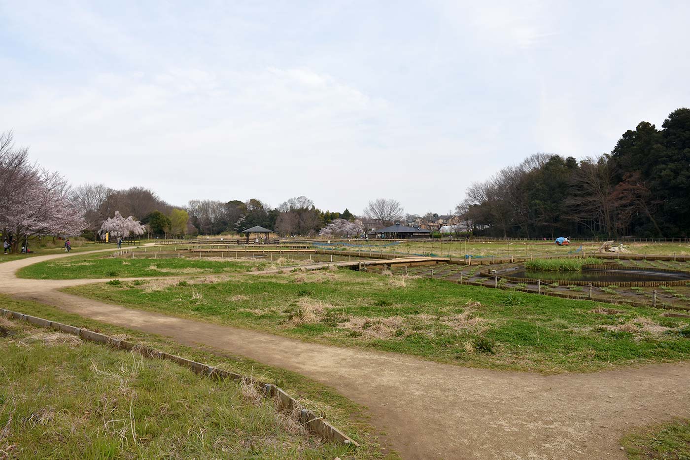 hmurayama_015