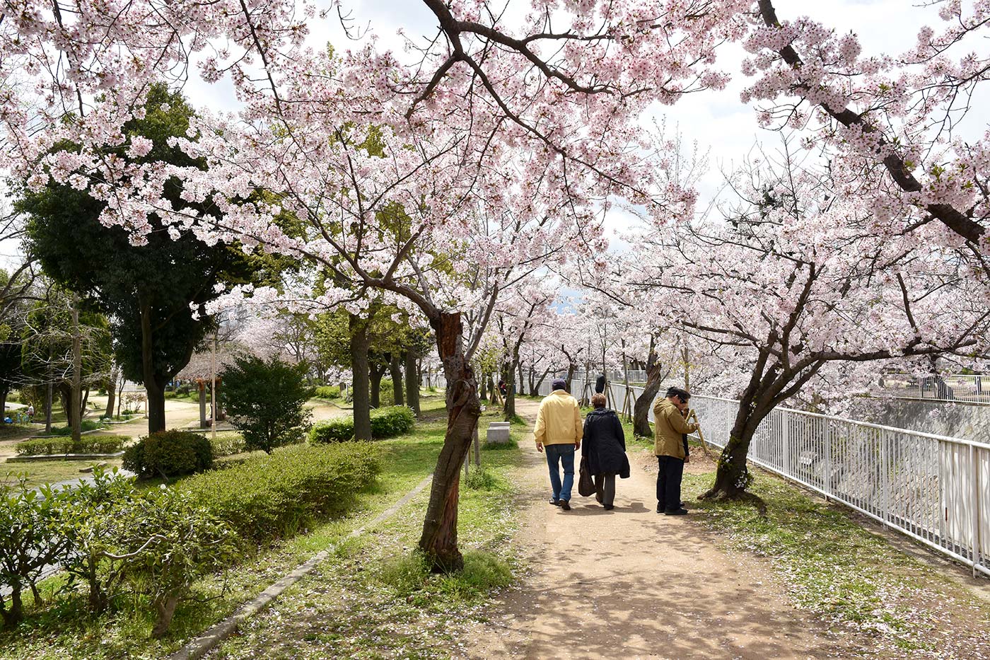 takatori_013