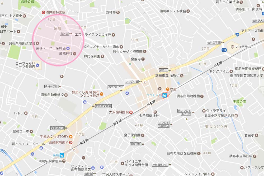 tsutsuji_010